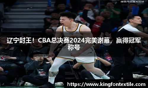 辽宁封王！CBA总决赛2024完美谢幕，赢得冠军称号