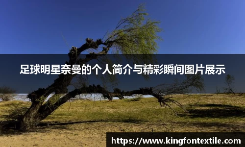 足球明星奈曼的个人简介与精彩瞬间图片展示